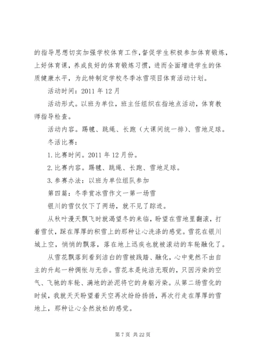 冬季冰雪活动方案.docx