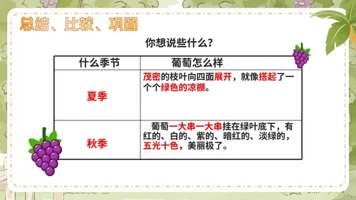 部编版语文二年级上册第十一课《葡萄沟》课件