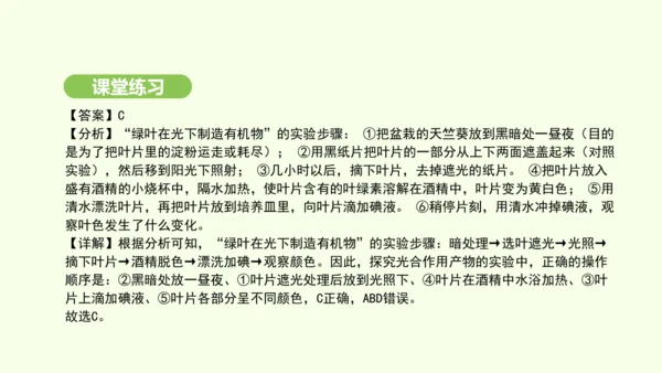 第三单元-第二章-第二节-光合作用-第1课时 绿叶在光下制造有机物课件-2024-2025学年七年级