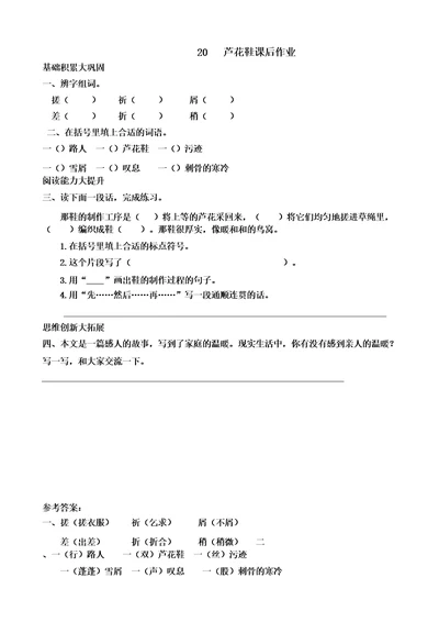 20芦花鞋课后作业