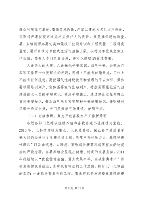 副县长在沼畜工作会发言稿_1.docx