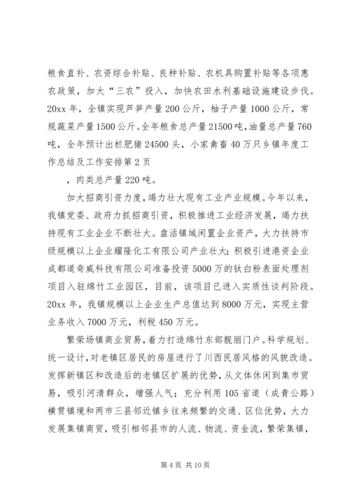乡镇年度工作总结及工作安排.docx