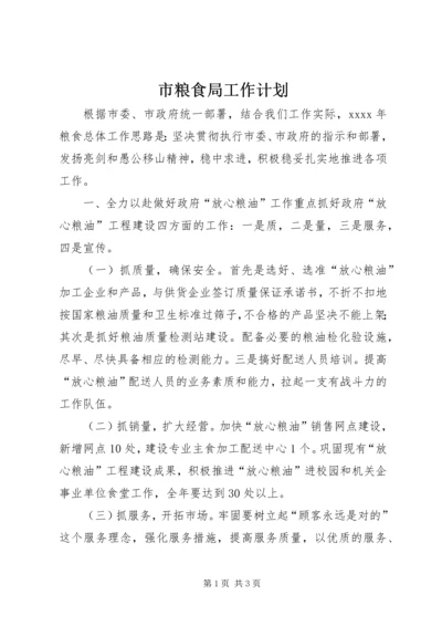 市粮食局工作计划 (4).docx