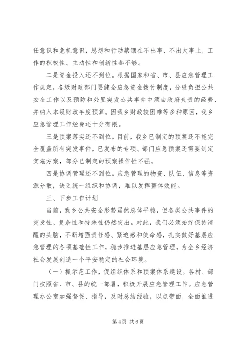 乡镇年度应急管理自查工作自查总结.docx