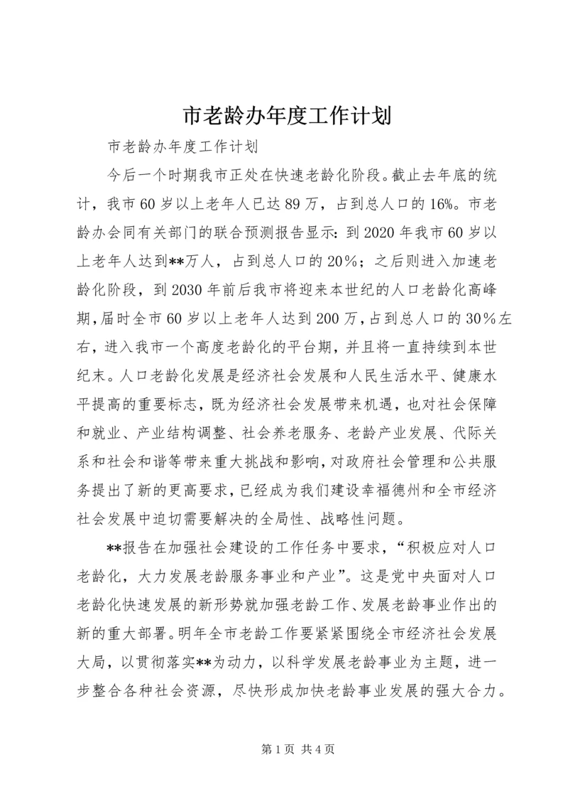 市老龄办年度工作计划 (3).docx