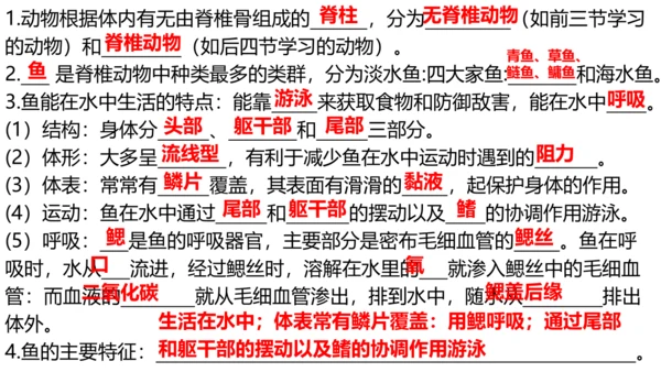 人教版生物八年级上册5.1.4《鱼》课件(共17张PPT)