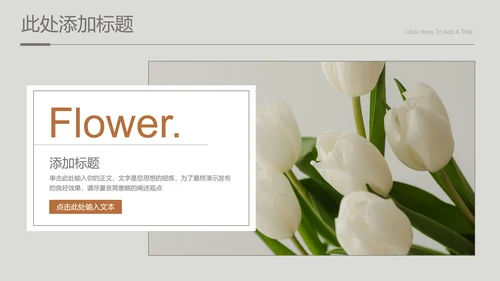 灰色小清新风雏菊总结汇报通用PPT演示模板