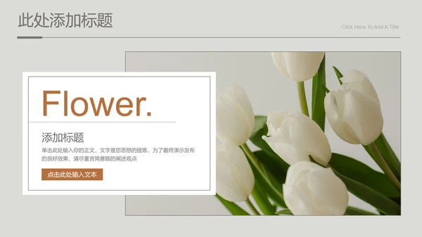灰色小清新风雏菊总结汇报通用PPT演示模板