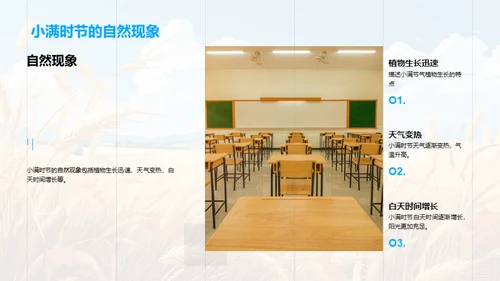 小满节气科学教学