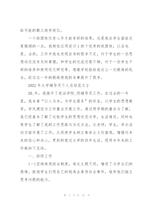 2022年大学辅导员个人总结范文.docx