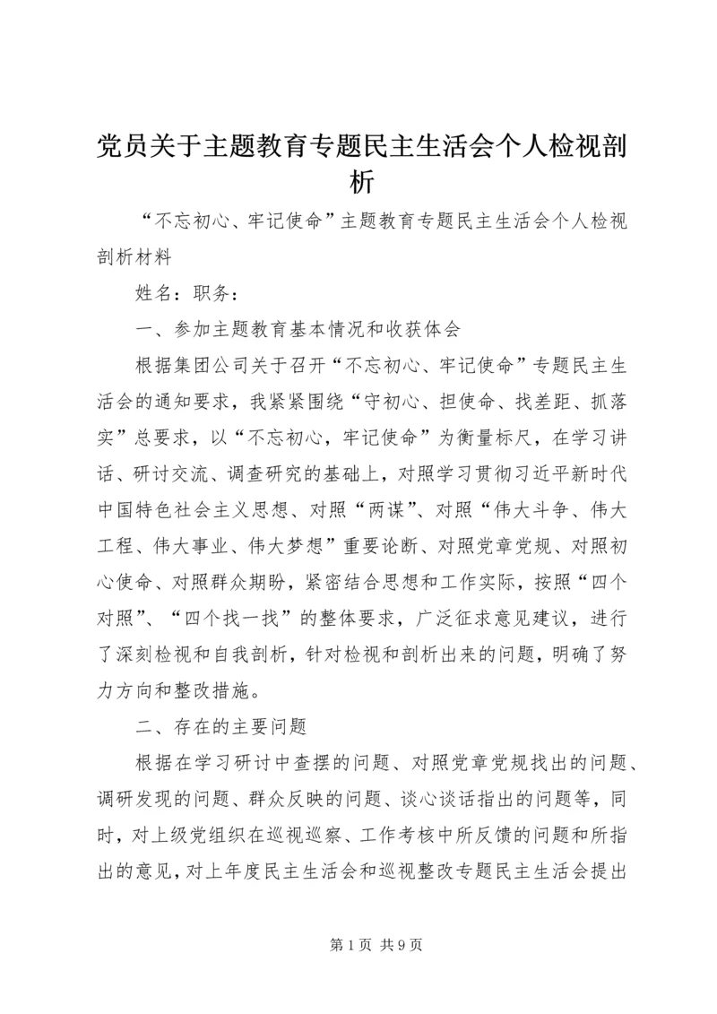 党员关于主题教育专题民主生活会个人检视剖析.docx