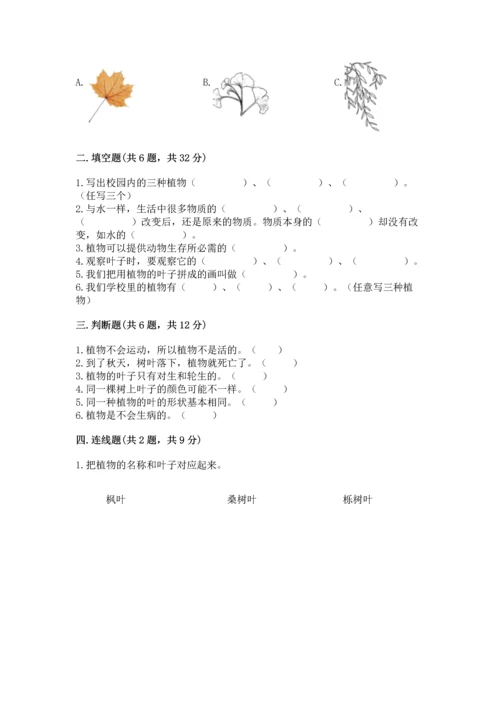 教科版科学一年级上册第一单元《植物》测试卷及参考答案【综合题】.docx