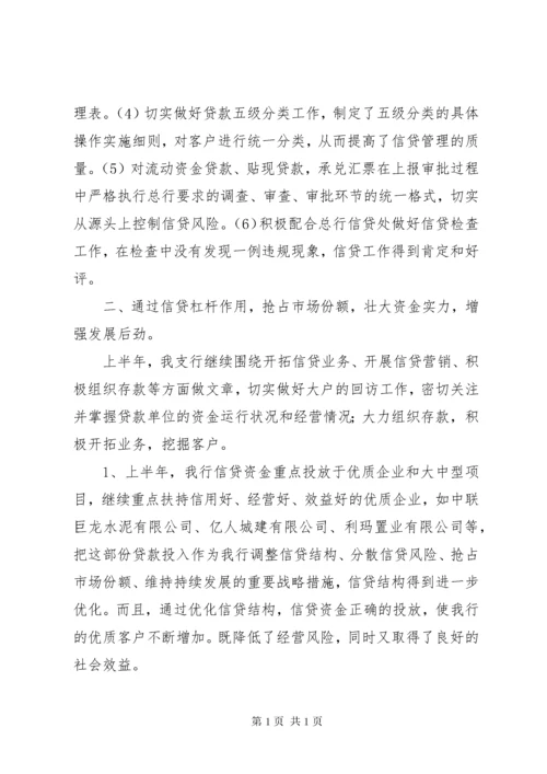 银行信贷工作总结 (7).docx