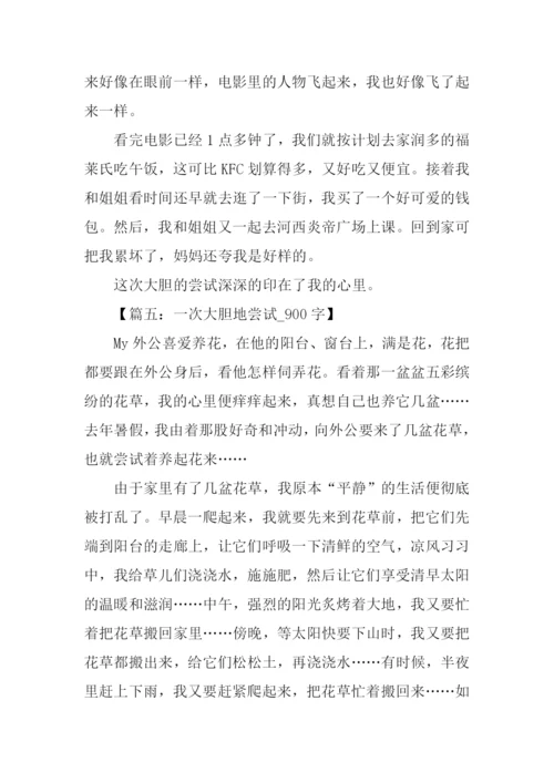 一次大胆的尝试作文.docx