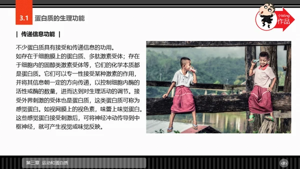 运动营养学通用PPT模板