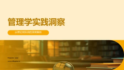 管理学实践洞察