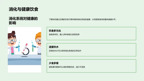 人体生理系统讲解