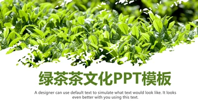 清新绿茶茶文化采茶茶道茶艺茶文化PPT模板
