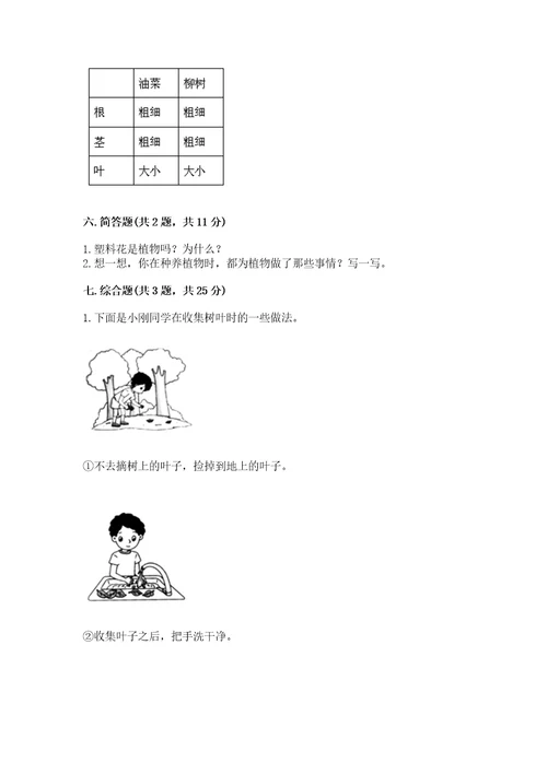 教科版科学一年级上册第一单元《植物》测试卷含答案（达标题）