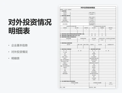 对外投资情况明细表
