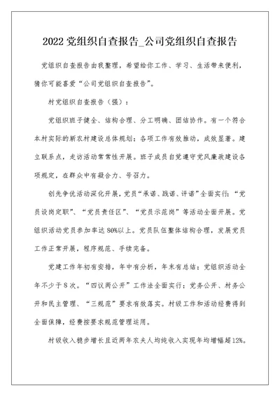 2022党组织自查报告 公司党组织自查报告