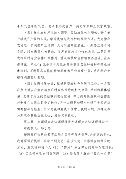 大走访调研报告.docx