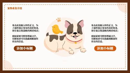 宠物染色宣传推广介绍通用PPT模板
