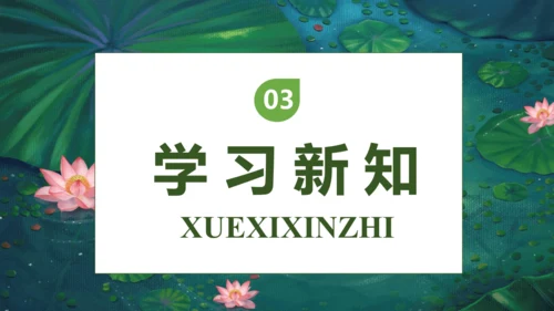 【核心素养】部编版语文三年级下册-3. 荷花 第1课时（课件）