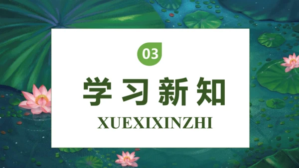 【核心素养】部编版语文三年级下册-3. 荷花 第1课时（课件）