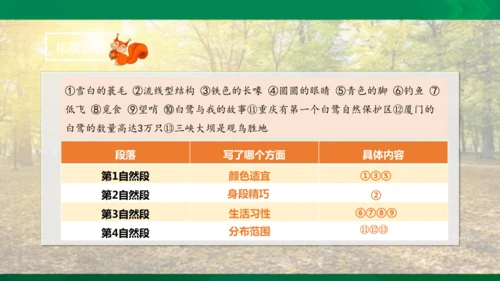 17 松鼠 第二课时课件