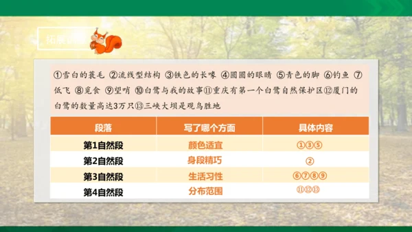 17 松鼠 第二课时课件