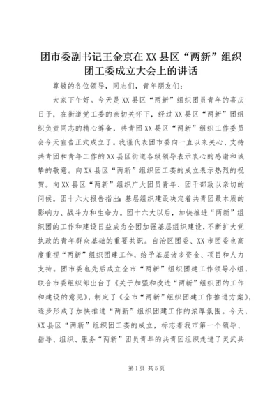 团市委副书记王金京在XX县区“两新”组织团工委成立大会上的讲话.docx