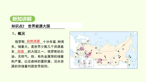 8.4.1 世界面积最大的国家 世界能源大国（课件28张）-2024-2025学年七年级地理下学期人