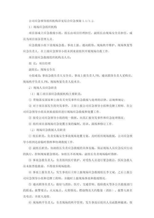 加油站专项应急救援预案.docx