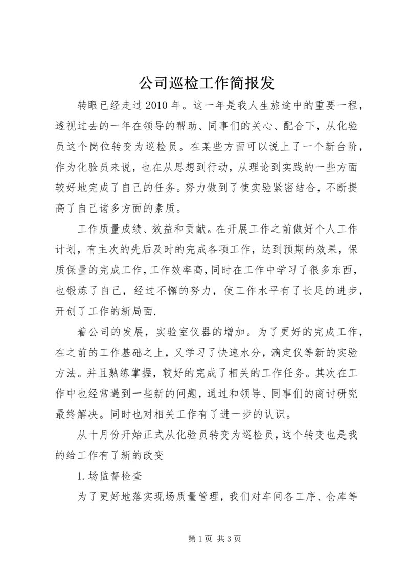 公司巡检工作简报发 (5).docx