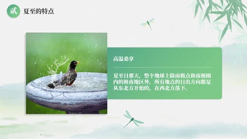 绿色清新古风二十四节气之夏至节气介绍PPT模板