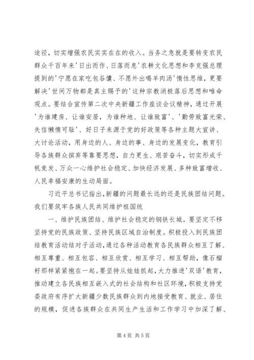 学习南疆工作会议心得体会 (4).docx