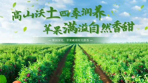 彩色简约风封面页PPT版式合集