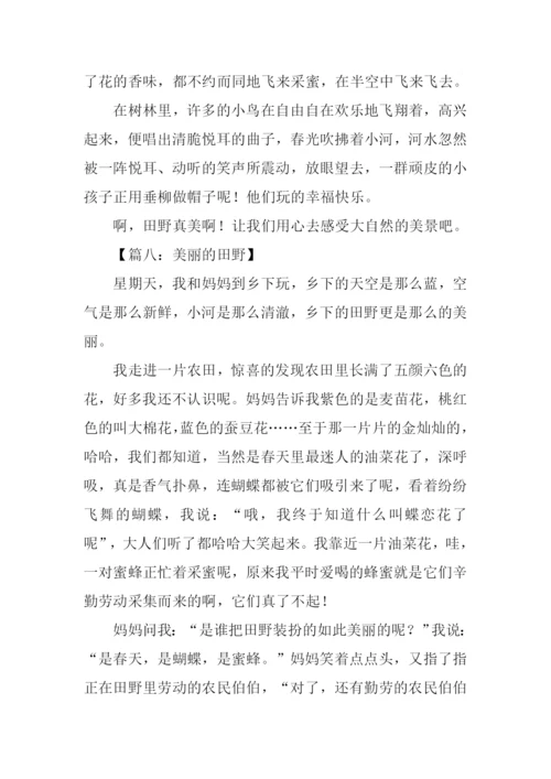 美丽的田野作文300字.docx