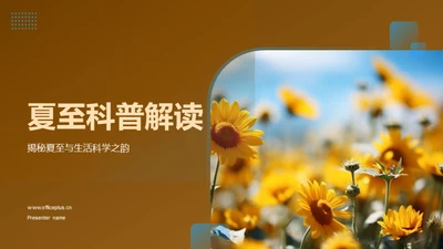 夏至科普解读