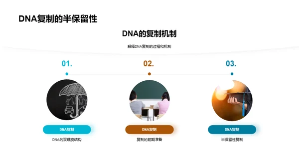 DNA的奥秘与应用