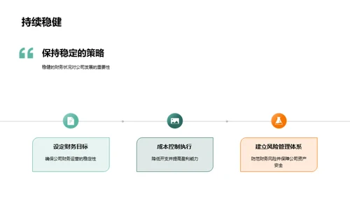 财务管理与发展策略