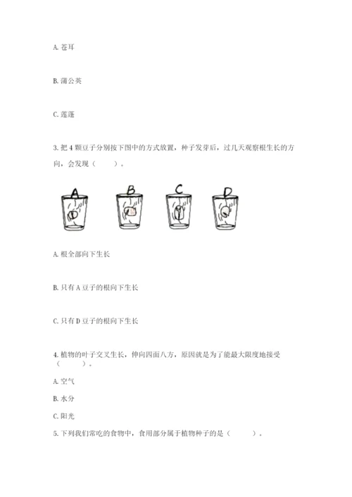 教科版四年级下册科学第一单元《植物的生长变化》测试卷【综合卷】.docx