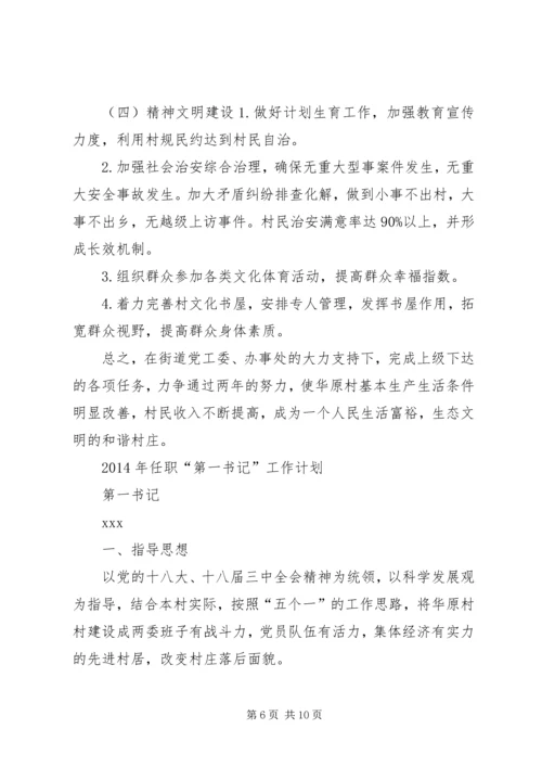 村第一书记任职规划计划.docx