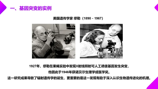 基因突变和基因重组初高中生物PPT课件