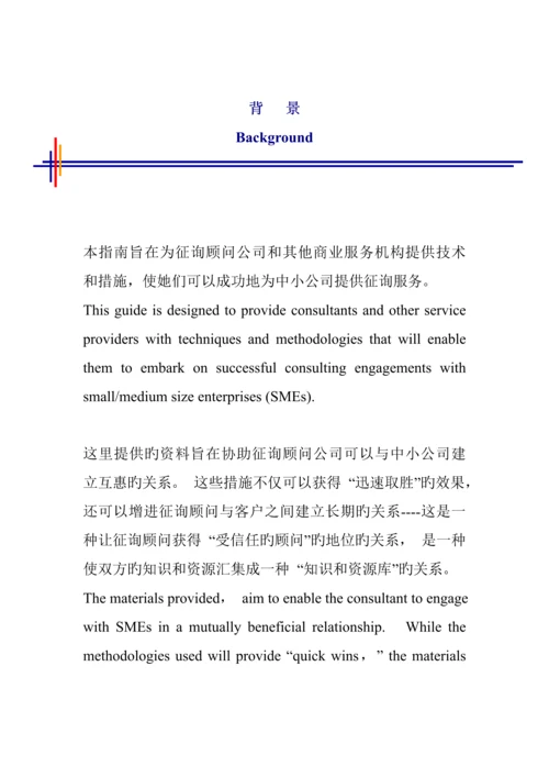 咨询顾问标准手册中英文.docx