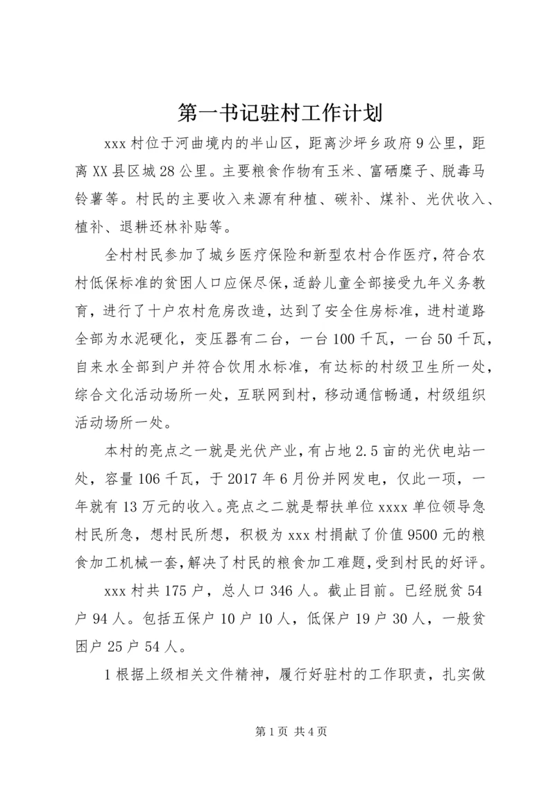 第一书记驻村工作计划.docx