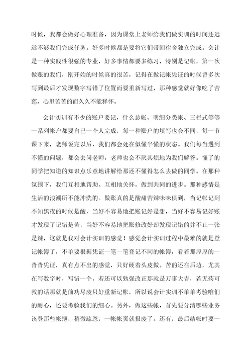 大学生会计实训总结1000字