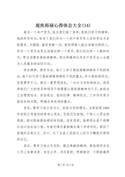 观焦裕禄心得体会大全(14).docx