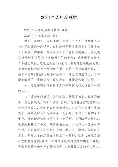 2023个人年度总结.docx